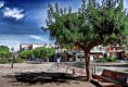 /album/fotogaleria-sant-feliu-de-guixols/dscn0057-640x480-jpg/